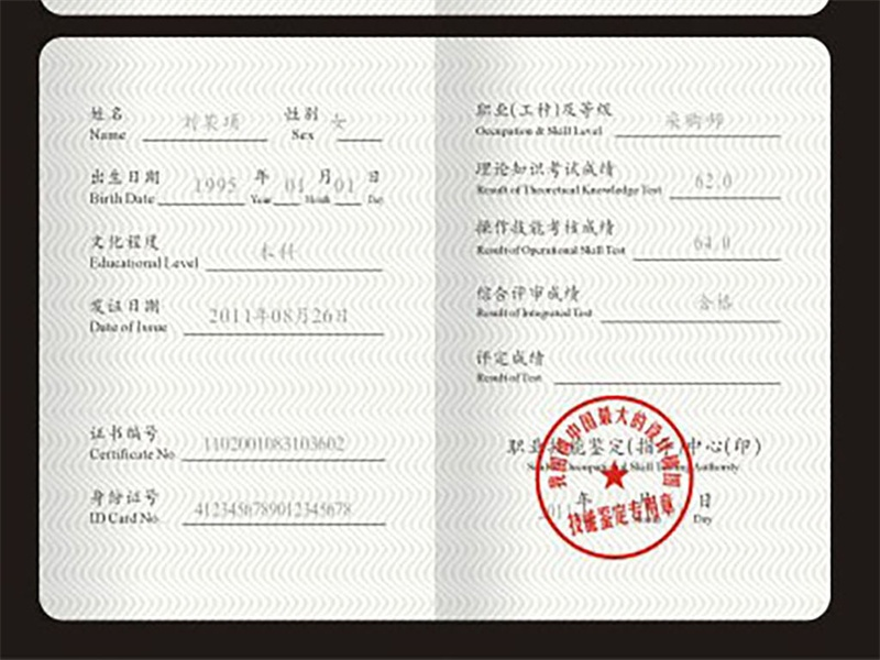 聘书任命书定制 聘书任命书定制-红金大气喜庆风